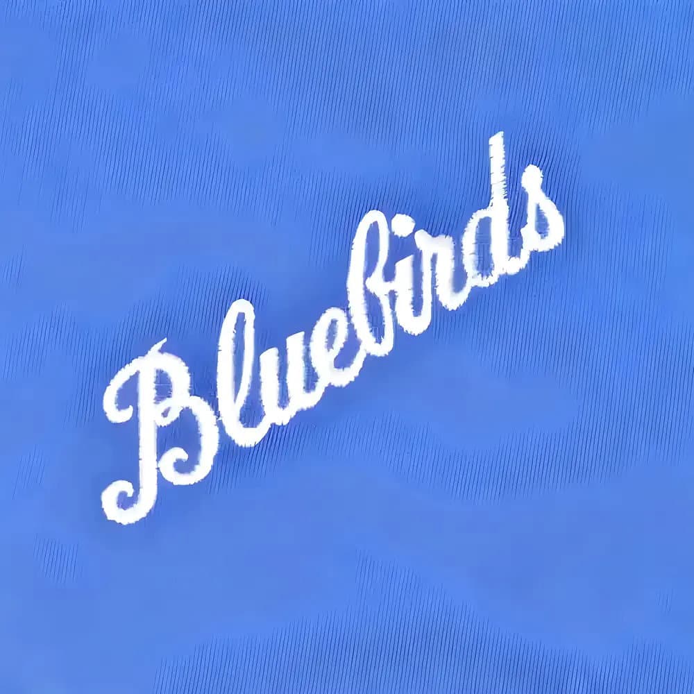 Cardiff City 1960s Bluebird Retro Football Shirt