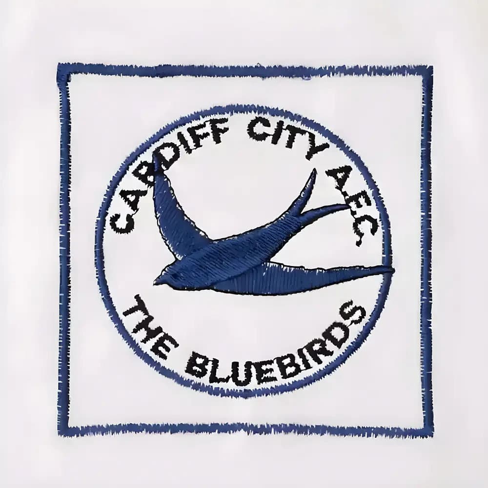 Shrewsbury Town 1980-1981 Retro Football Shirt