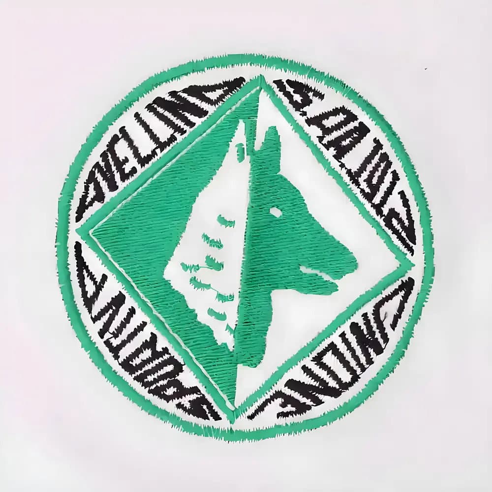 Avellino 1950s Retro Football Shirt