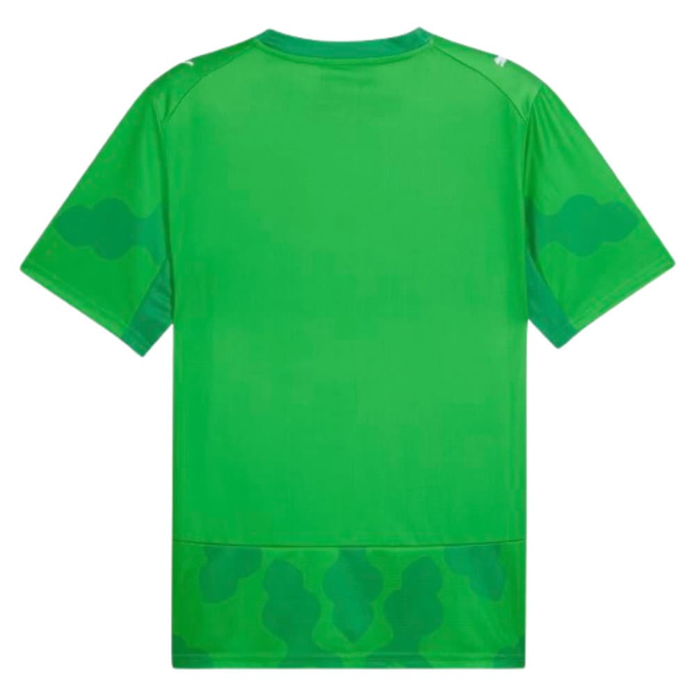 2026-2027 Egypt Goalkeeper Shirt (Green)